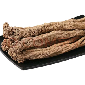 Codonopsis Pilosula for sale -CGhealthfood.png