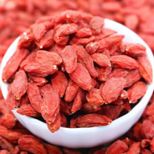 lycium chinense miller -CGhealthfood.png