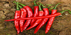 china red hot peppers - CGhealthfood.png