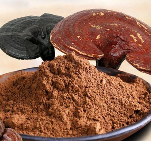 ganoderma lucidum powder.jpg