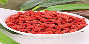 lycium barbarum fruit extract company - CGhealthfood.png