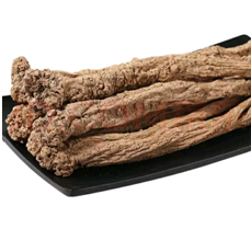 cheap codonopsis pilosula root -CGhealthfood.png