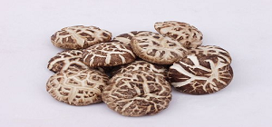 dehydrated shiitake mushrooms suppliers-CGhealthfood.png
